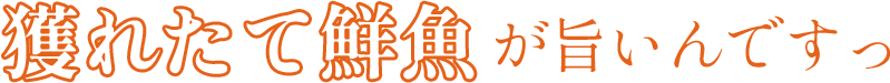 獲れたて鮮魚が旨いんですっ